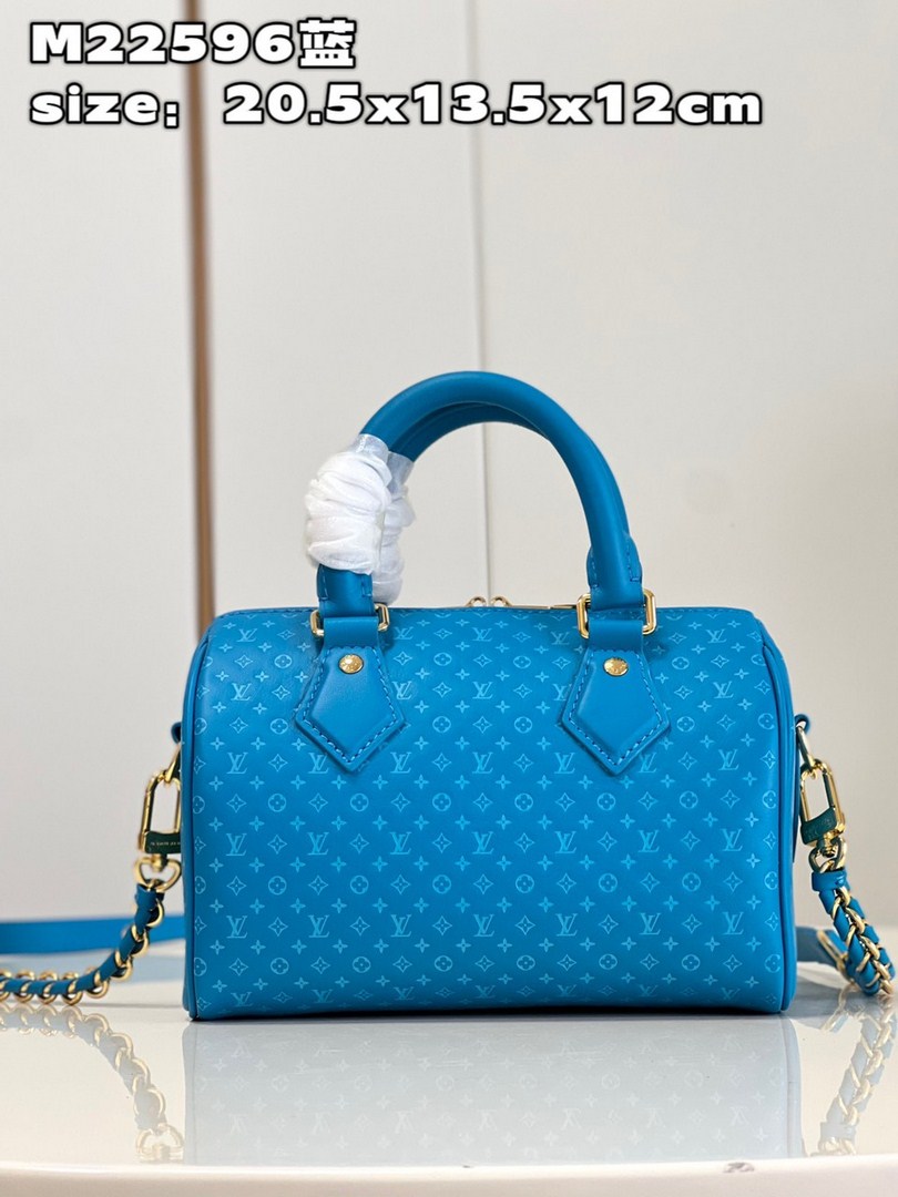 Tổng Hợp Túi Xách Louis Vuitton Siêu Cấp Nữ 04